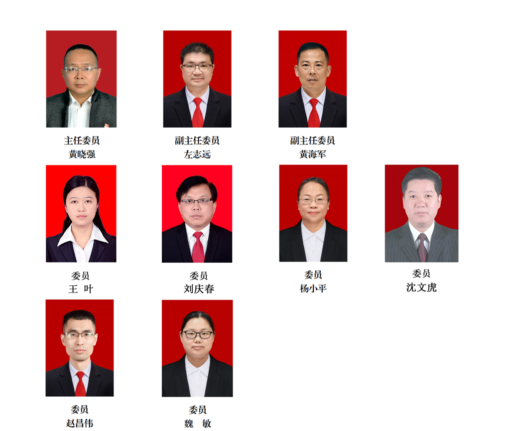 备案审查委员会.png